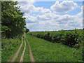 TL5152 : On The Roman Road in early May by John Sutton