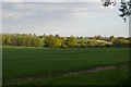 TM3866 : Fields and woods north of Kelsale by Christopher Hilton