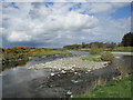 NS9731 : Gravelly islet in the Clyde near Lamington by Alan O'Dowd