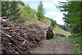 NT1538 : Timber stacks, Stobo Estate by Jim Barton