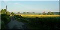 SO4172 : Oilseed rape in flower West of Criftin Ford Bridge by Peter Evans