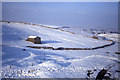 NY7806 : Stone barn in field close to the B6270, Ore Hill near Nateby by Colin Park