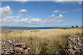 NO7047 : Clifftop, rough vegetation near Red Head by Adrian Diack