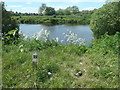 SE3825 : Peg 18, north bank of the Calder, above Penbank weir by Christine Johnstone