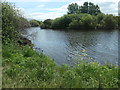 SE3825 : Peg 13, north bank of the Calder, above Penbank weir by Christine Johnstone