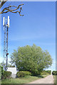 SP5816 : Radio Mast along Newgate Road by Des Blenkinsopp