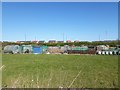 NZ2671 : Allotments, Gosforth Park, Newcastle by Graham Robson