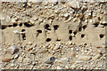 NJ3360 : Sand Martin Colony by Anne Burgess