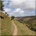 SD9099 : Pennine Way above North Gang Scar by Andy Waddington