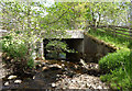 NH5137 : White Bridge, Glen Convinth by Craig Wallace