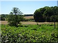 SO8686 : View to Greensforge Lane by Gordon Griffiths