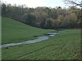 SS8777 : Occasional stream north of Candleston Castle by eswales