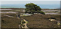 NY9545 : Walkers approaching along path by Trevor Littlewood