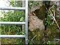 NY2262 : Ordnance Survey benchmark on gatepost by Adrian Taylor