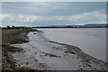 SO7107 : The banks of the Severn Estuary at Awre by John Winder