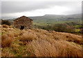 SD9188 : Field barn above Countersett by Andy Waddington