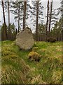 NH6737 : Chambered Cairn in Tomfat Plantation by valenta