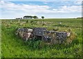 NH8094 : The Mound to Dornoch Railway Line by valenta