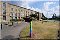 SD8010 : Rainbow Planters outside the Town Hall by David Dixon