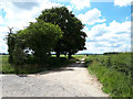 ST9185 : Public bridleway, Malmesbury Common by Vieve Forward