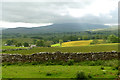 NY6906 : Farmland south of Crosby Garrett Fell by Andy Waddington