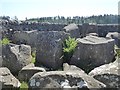 NY9583 : Interior of sheepfold by Oliver Dixon