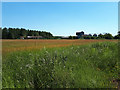 SP1812 : Ruined ancillary building, former RAF Windrush, and modern farm buildings by Vieve Forward