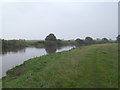 SE5258 : River Ouse at Monkton Reach by David Brown