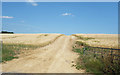 SP3014 : Track through Barley by Des Blenkinsopp