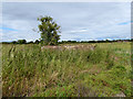 SU1578 : WW2 Pillbox (2), Beranburh Field, RAF Wroughton by Vieve Forward