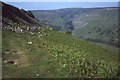 SD9099 : The Pennine Way near Kisdon by Philip Halling