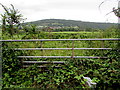 SO5011 : Disused field gate at the southern edge of Monmouth by Jaggery