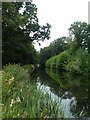 ST0515 : The Grand Western canal near Westcott by David Smith