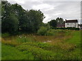 SO8160 : Village pond, Sinton Green, Worcestershire by Jeff Gogarty