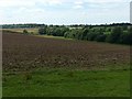 SK6650 : Dumble landscape near Bankwood House by Alan Murray-Rust