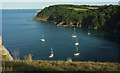 SX9364 : Yachts off Anstey's Cove by Derek Harper