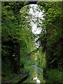 SJ6930 : High Bridge across Woodseaves Cutting, Shropshire by Roger  D Kidd