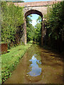 SJ6931 : Hollings Bridge in Woodseaves Cutting Staffordshire by Roger  D Kidd