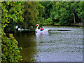 SD8303 : Swan Pedalo at Heaton Park by David Dixon