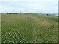 TA1674 : Headland Way approaching an earthwork on Speeton Moor by Christine Johnstone