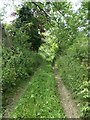 TA0369 : Public footpath from Octon to Octon crossroads by Christine Johnstone