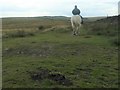 SD9825 : Horse and rider on Erringden moor by Christine Johnstone