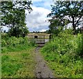 NS9264 : Dumback entrance by Jim Smillie