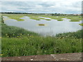 SE8732 : Dryham Ings, North Cave Wetlands nature reserve by Christine Johnstone