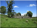 NS7380 : Ruined farm buildings at Drumnessie by Alan O'Dowd