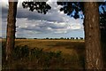 TM2543 : Looking north-east out of Brightwell churchyard by Christopher Hilton