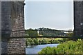 NT7030 : Part of the Roxburgh Viaduct footbridge by Jim Barton