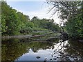 NH5229 : River Coiltie - Urquhart Bay Woods by valenta