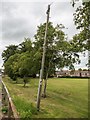 SK3515 : A telegraph pole in need of attention, Packington Nook Lane, Ashby-de-la-Zouch by Oliver Mills