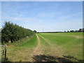 TA0452 : Pylon  in  an  empty  field by Martin Dawes